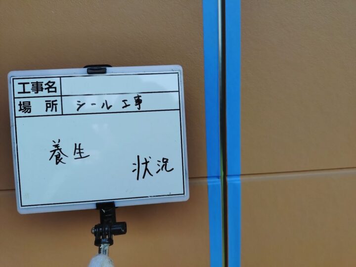 養生